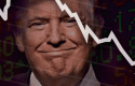 trumpcaida trumpcaida