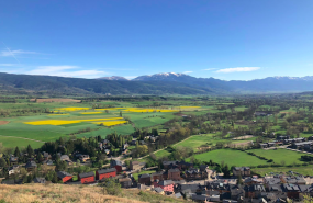 1571682009 captura de pantalla 2019 10 21 a les 201649 1571682009 captura de pantalla 2019 10 21 a les 201649