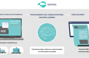 1608302496 proceso savana3 1608302496 proceso savana3