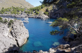 1647254729 barcosanen 2 20220314165534 