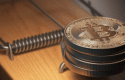 bitcoinfraude bitcoinfraude
