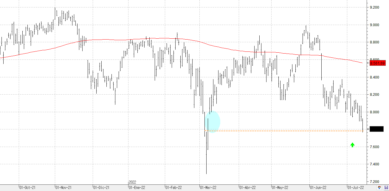 c140722ibex