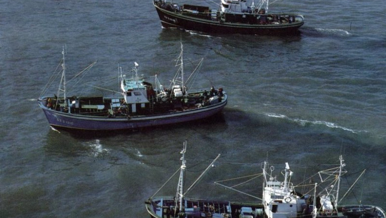 Archivo - Barcos de Pesca | MARM - Archivo ep archivo barcos de pesca 20240607132604