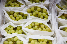 ep archivo   racimos de uvas en un expositor de una fruteria en un mercado