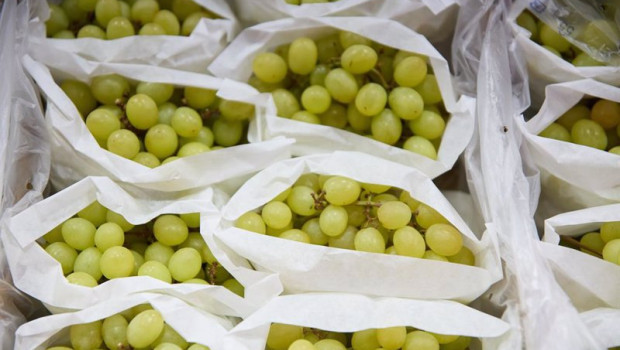 ep archivo   racimos de uvas en un expositor de una fruteria en un mercado