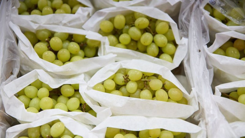 ep archivo racimos de uvas en un expositor de una fruteria en un mercado ep archivo racimos de uvas en un expositor de una fruteria en un mercado