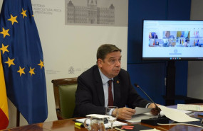 ep el ministro de agricultura pesca y alimentacion luis planas preside por videoconferencia la