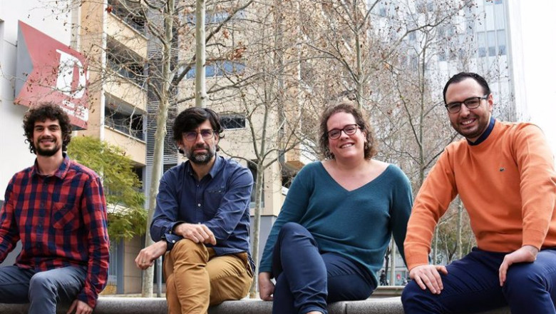 Equipo de Bamboo Energy | IDAE ep equipo de bamboo energy