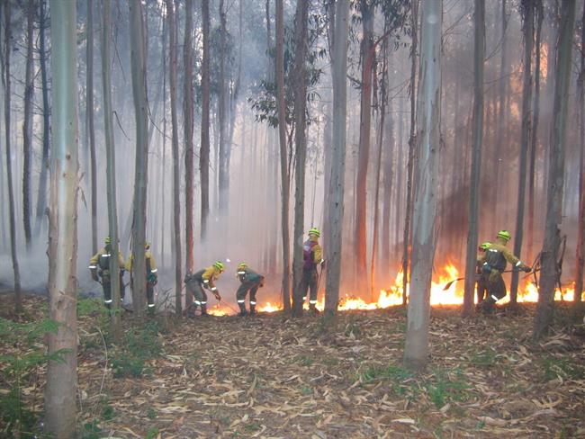 ep extincionun incendio forestaluna brif