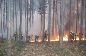 ep extincionun incendio forestaluna brif