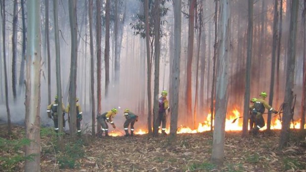 ep extincionun incendio forestaluna brif