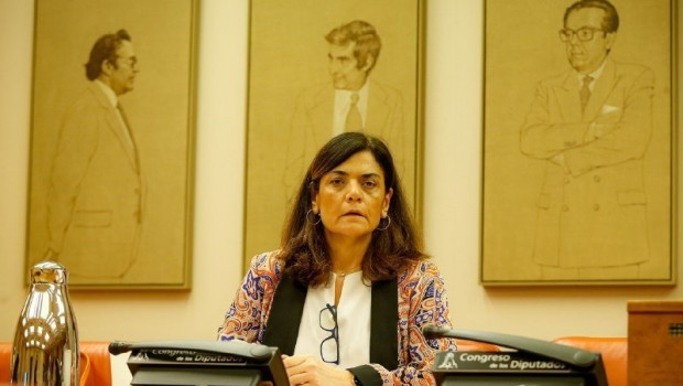 ep la coordinadora de los servicios juridicos de la comision espanola de ayuda al refugiado cear