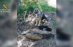 ep operacion antitox del seprona de 2019
