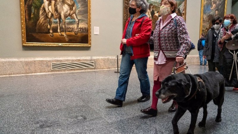 Personas invidentes de visita por el Museo del Prado (Madrid). | FUNDACIÓN ONCE ep personas invidentes de visita por el museo del prado madrid