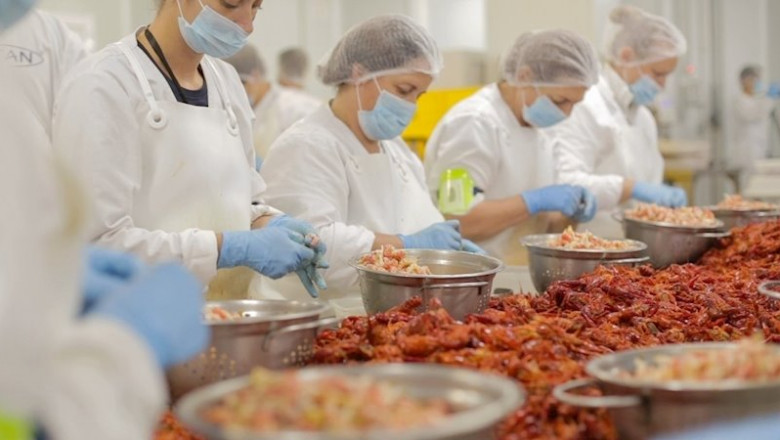 ep trabajadoras de la compania alfocan