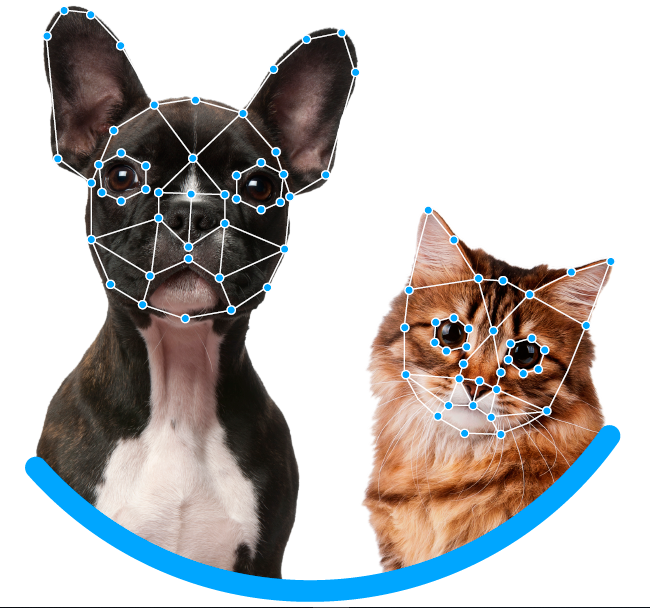 1574267935 perro escaner