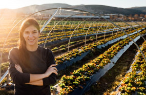 1634545851 nuevo proyecto