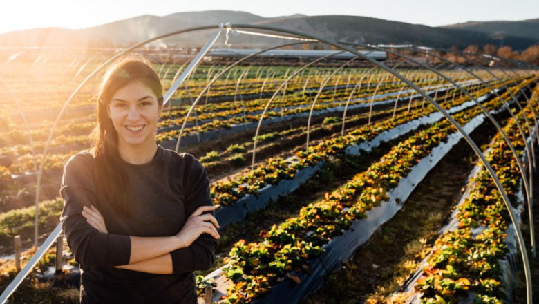 1634545851 nuevo proyecto