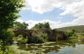 1651144454 entreparques