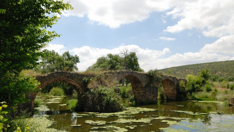 1651144454 entreparques