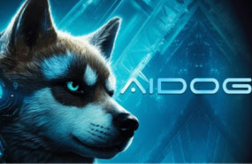 aidoge min