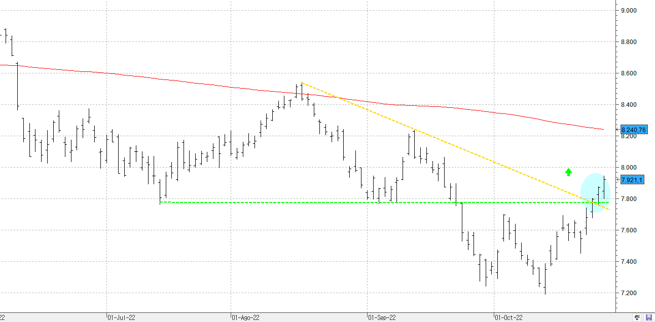 c271022ibex