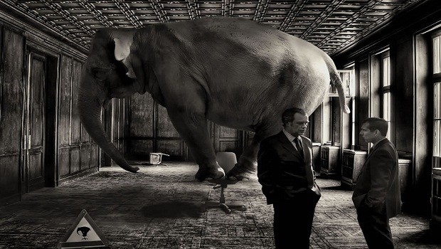 elefante, habitacion, inversion