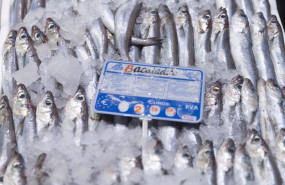 ep archivo   bacaladillas expuestas en una pescaderia de un mercado