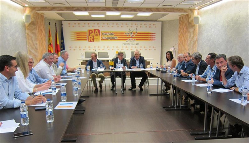 ep comision ejecutiva del partido aragones