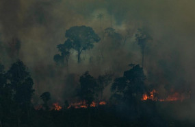 ep fuegos en la selva del amazonas