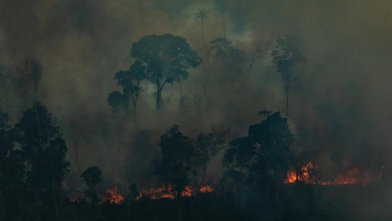 Fuegos en la selva del Amazonas | Victor Moriyama/Greenpeace Brazi / DPA ep fuegos en la selva del amazonas