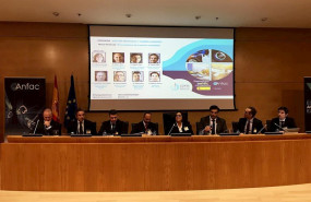 ep la asociacion espanola de fabricantes de automoviles y camiones anfac junto con aelec y sernauto