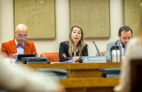 ep la secretariaestadofuncion publica elena collado encongreso