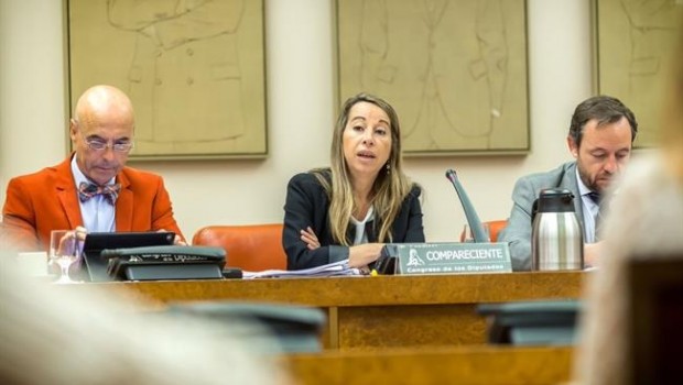 ep la secretariaestadofuncion publica elena collado encongreso