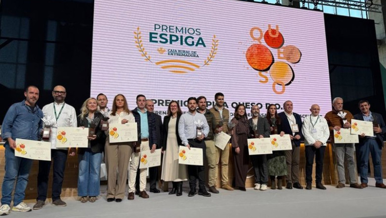 La Torta del Casar se alza con una medalla de oro en los World Cheese Awards | Consejo Regulador D.O.P. Torta del Casar ep la torta del casar se alza con una medalla de oro en los world cheese awards