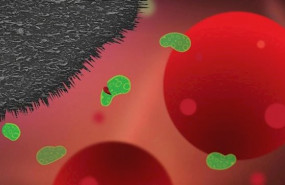 ep las nanoplaquetas de grafito integradas en superficies medicas de plastico pueden prevenir