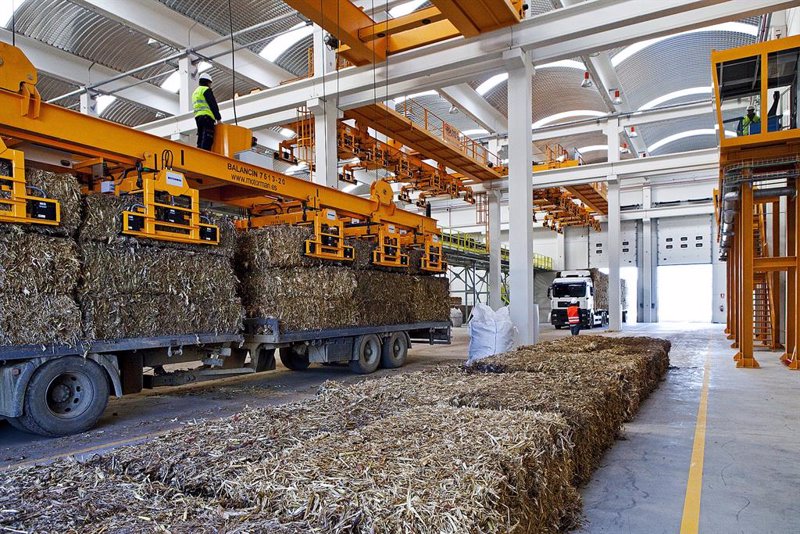 Mahou San Miguel y Ence construirán una planta de biomasa en Guadalajara