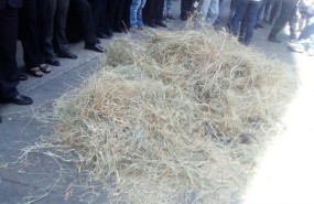 ep protestala mudla sedetsj