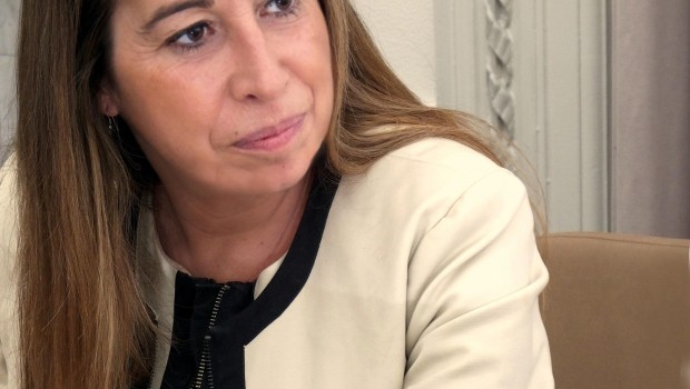 ep secretariafuncion publica elena collado