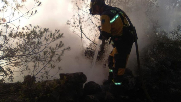 ep un agente realiza tareas de extincion de un incendio declarado en son quint esporlas