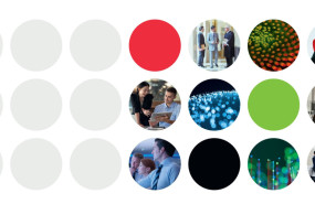 rafiki do frl 2026   mrkt 13404 3840x1440px v2 6 