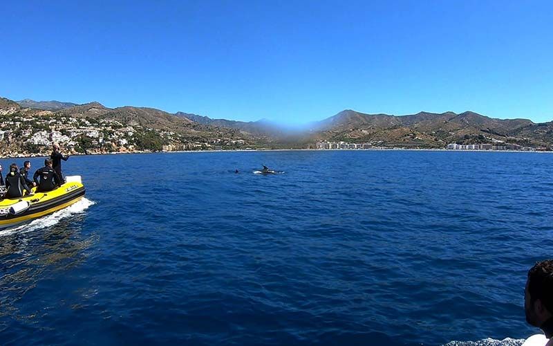 1563986827 la herradura 1