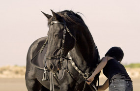 1568982105 gala equitacion