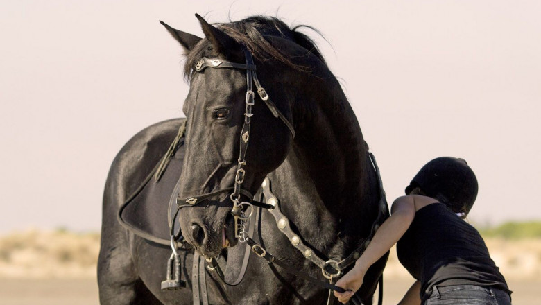 1568982105 gala equitacion