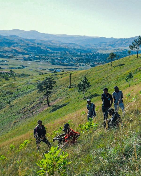 1616425988 plantacio na frica copia