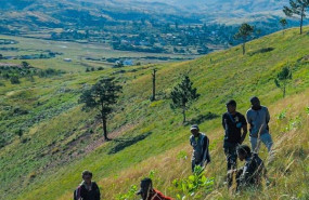 1616425988 plantacio na frica copia