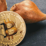 bitcointulipan4 bitcointulipan4