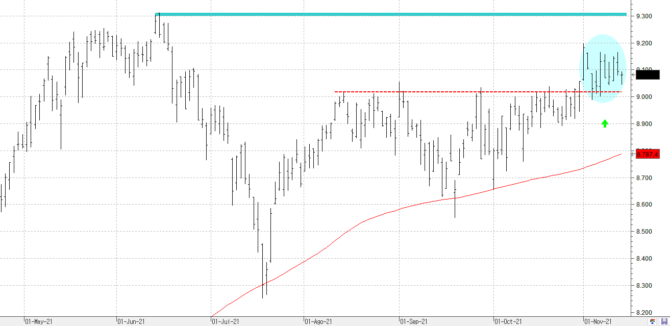 c121121ibex