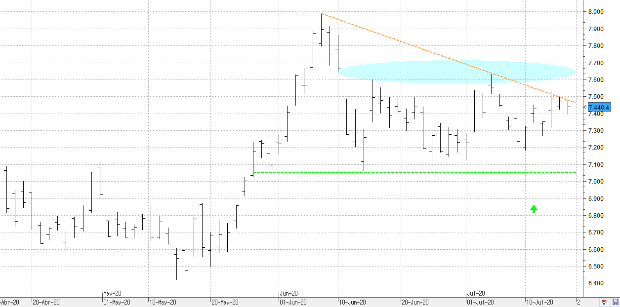 c170720ibex