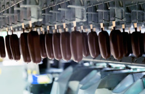 dl magnum ice cream company magnum ice cream heartbrand walls generic company photo b